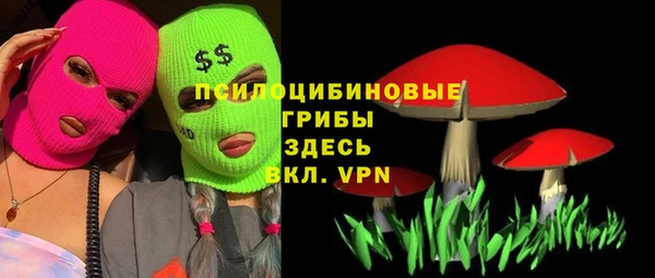 амф Киреевск