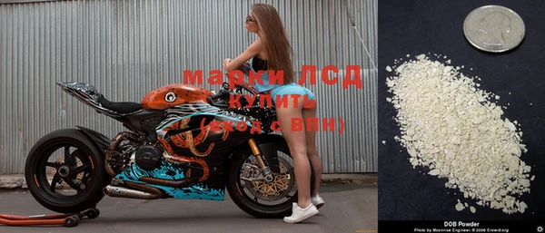 стафф Киренск